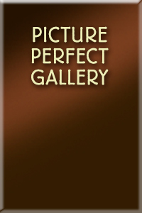 Picture Perfect Gallery in Dundas Ontario